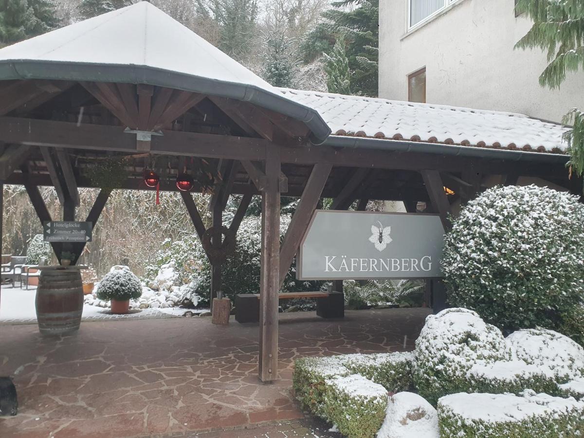 Kafernberg - Weinhotel Alzenau Exterior foto
